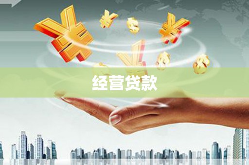 林甸经营贷款