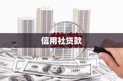 林甸信用社贷款