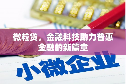 林甸微粒贷，金融科技助力普惠金融的新篇章