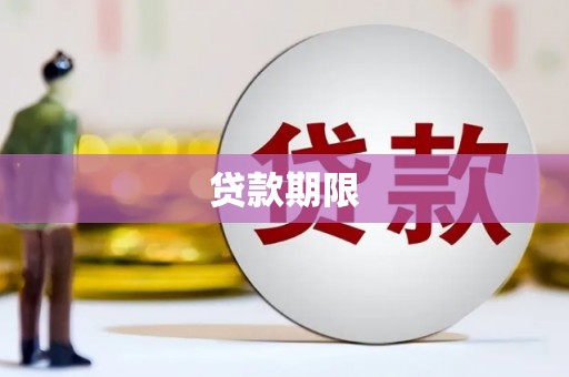 林甸贷款期限