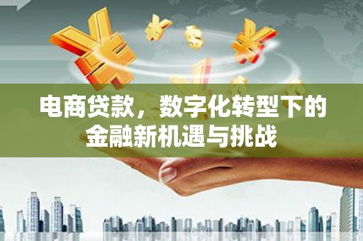 林甸电商贷款，数字化转型下的金融新机遇与挑战