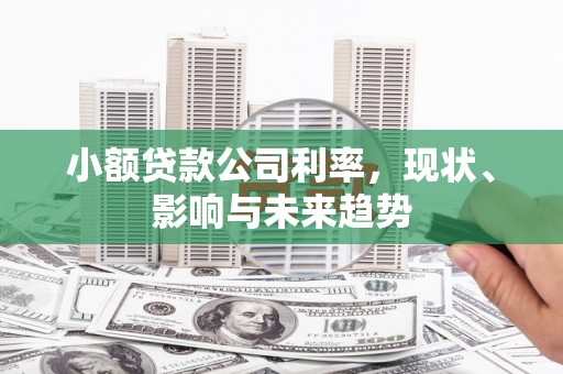 林甸小额贷款公司利率，现状、影响与未来趋势