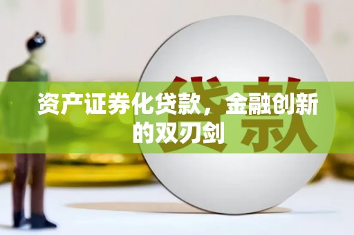 林甸资产证券化贷款，金融创新的双刃剑
