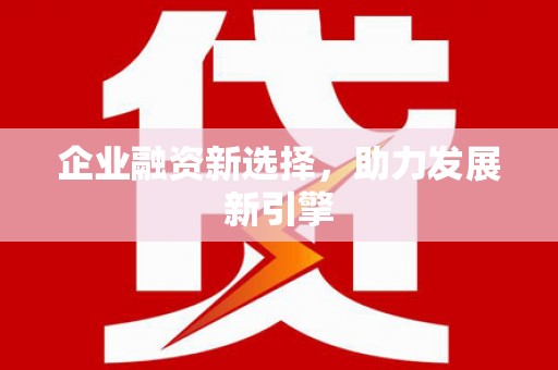 林甸企业融资新选择，助力发展新引擎