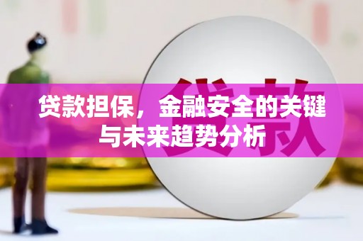林甸贷款担保，金融安全的关键与未来趋势分析