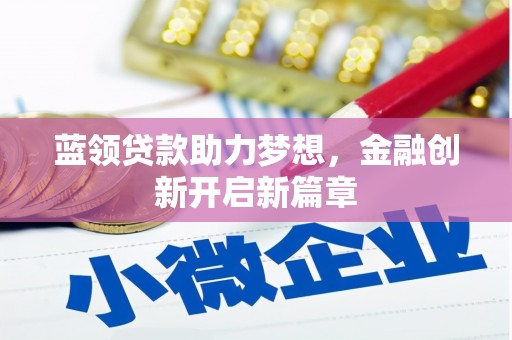 林甸蓝领贷款助力梦想，金融创新开启新篇章