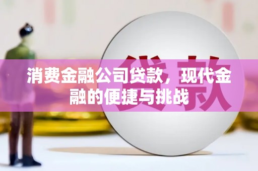 林甸消费金融公司贷款，现代金融的便捷与挑战