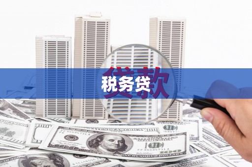 林甸税务贷