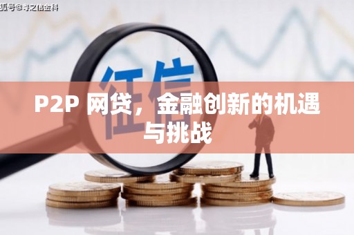 林甸P2P 网贷，金融创新的机遇与挑战