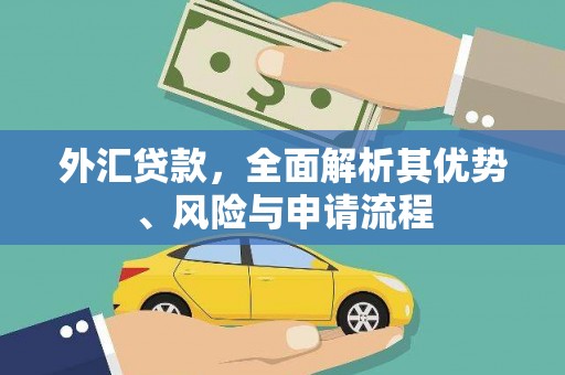 林甸外汇贷款，全面解析其优势、风险与申请流程