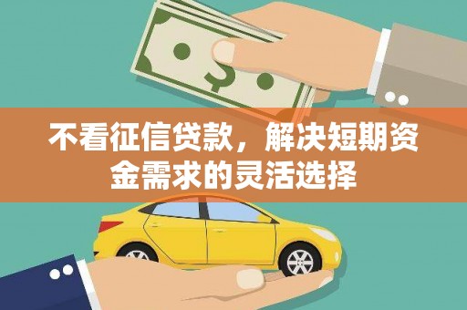 林甸不看征信贷款，解决短期资金需求的灵活选择