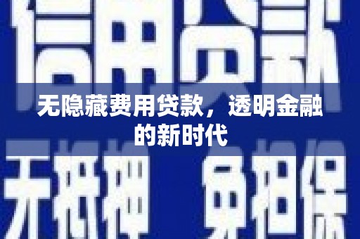 林甸无隐藏费用贷款，透明金融的新时代