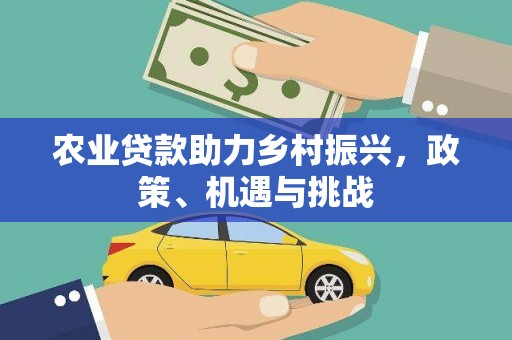 林甸农业贷款助力乡村振兴，政策、机遇与挑战