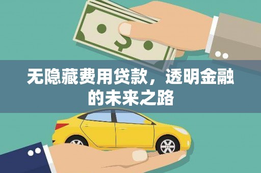 林甸无隐藏费用贷款，透明金融的未来之路