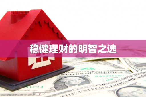 林甸稳健理财的明智之选