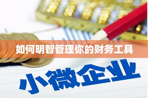 林甸如何明智管理你的财务工具