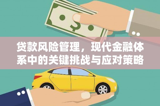 林甸贷款风险管理，现代金融体系中的关键挑战与应对策略