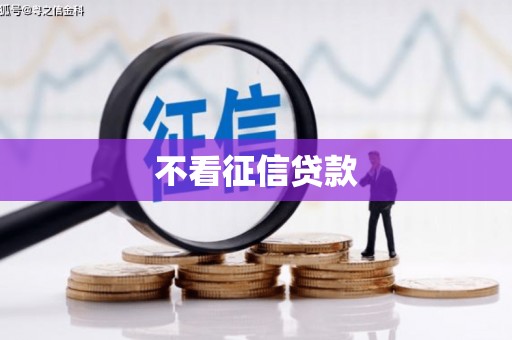 林甸不看征信贷款
