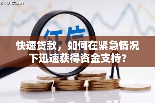 林甸快速贷款，如何在紧急情况下迅速获得资金支持？