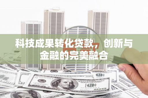 林甸科技成果转化贷款，创新与金融的完美融合