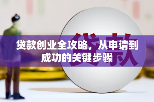林甸贷款创业全攻略，从申请到成功的关键步骤
