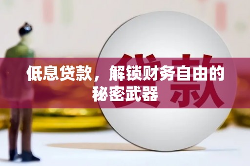 林甸低息贷款，解锁财务自由的秘密武器