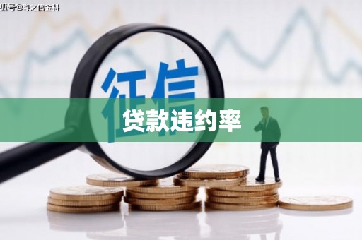 林甸贷款违约率