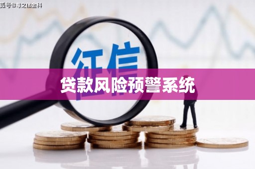 林甸贷款风险预警系统
