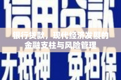 林甸银行贷款，现代经济发展的金融支柱与风险管理