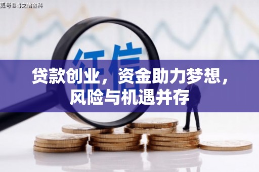 林甸贷款创业，资金助力梦想，风险与机遇并存