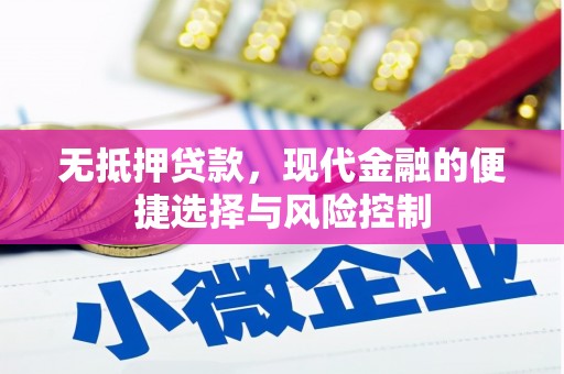 林甸无抵押贷款，现代金融的便捷选择与风险控制