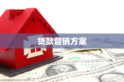 林甸贷款营销方案