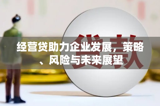 林甸经营贷助力企业发展，策略、风险与未来展望
