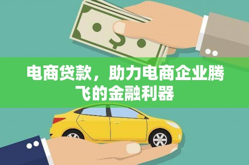 林甸电商贷款，助力电商企业腾飞的金融利器
