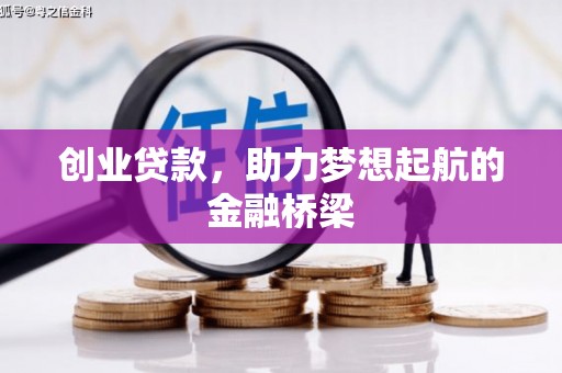 林甸创业贷款，助力梦想起航的金融桥梁