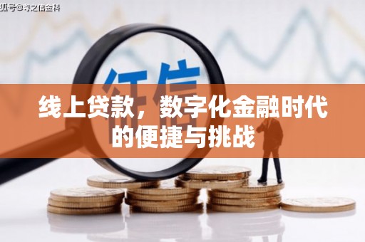 林甸线上贷款，数字化金融时代的便捷与挑战