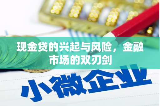 林甸现金贷的兴起与风险，金融市场的双刃剑