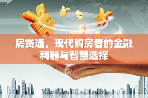 林甸房贷通，现代购房者的金融利器与智慧选择