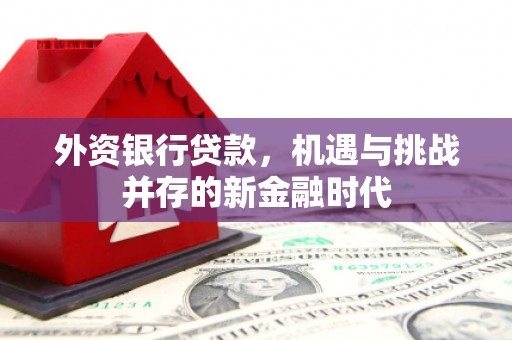 林甸外资银行贷款，机遇与挑战并存的新金融时代