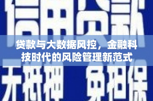 林甸贷款与大数据风控，金融科技时代的风险管理新范式