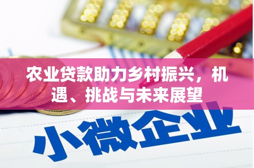 林甸农业贷款助力乡村振兴，机遇、挑战与未来展望