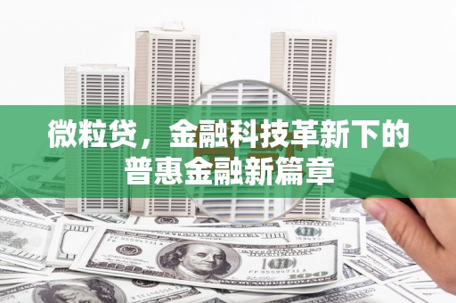 林甸微粒贷，金融科技革新下的普惠金融新篇章