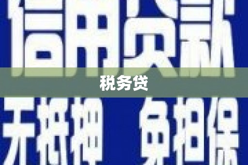 林甸税务贷