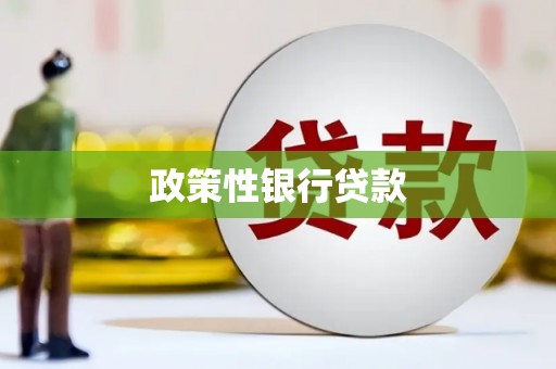 林甸政策性银行贷款