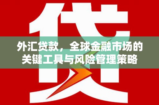 林甸外汇贷款，全球金融市场的关键工具与风险管理策略