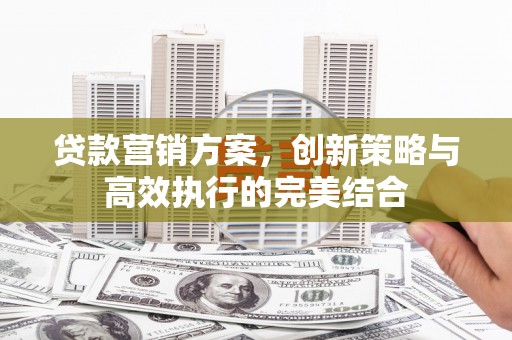 林甸贷款营销方案，创新策略与高效执行的完美结合