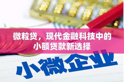 林甸微粒贷，现代金融科技中的小额贷款新选择