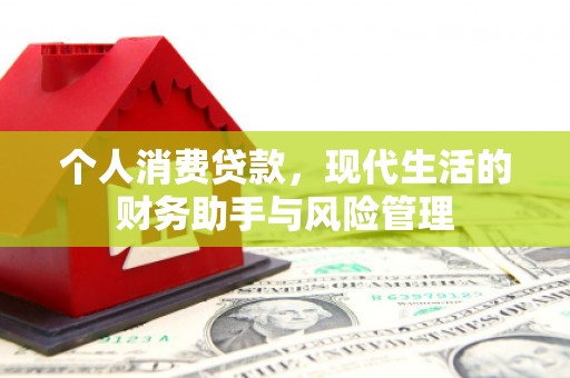 林甸个人消费贷款，现代生活的财务助手与风险管理