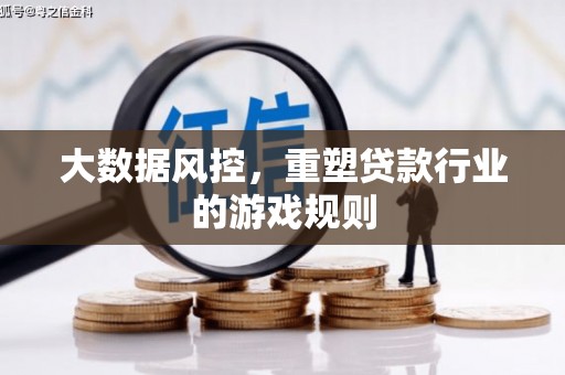 林甸大数据风控，重塑贷款行业的游戏规则