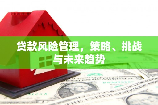 林甸贷款风险管理，策略、挑战与未来趋势